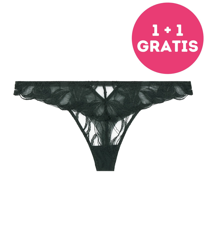 Aubade Into The Groove String 3B26 FORE Forest